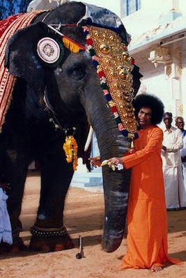 Beloved Bhagawan Sri Sathya Sai Baba